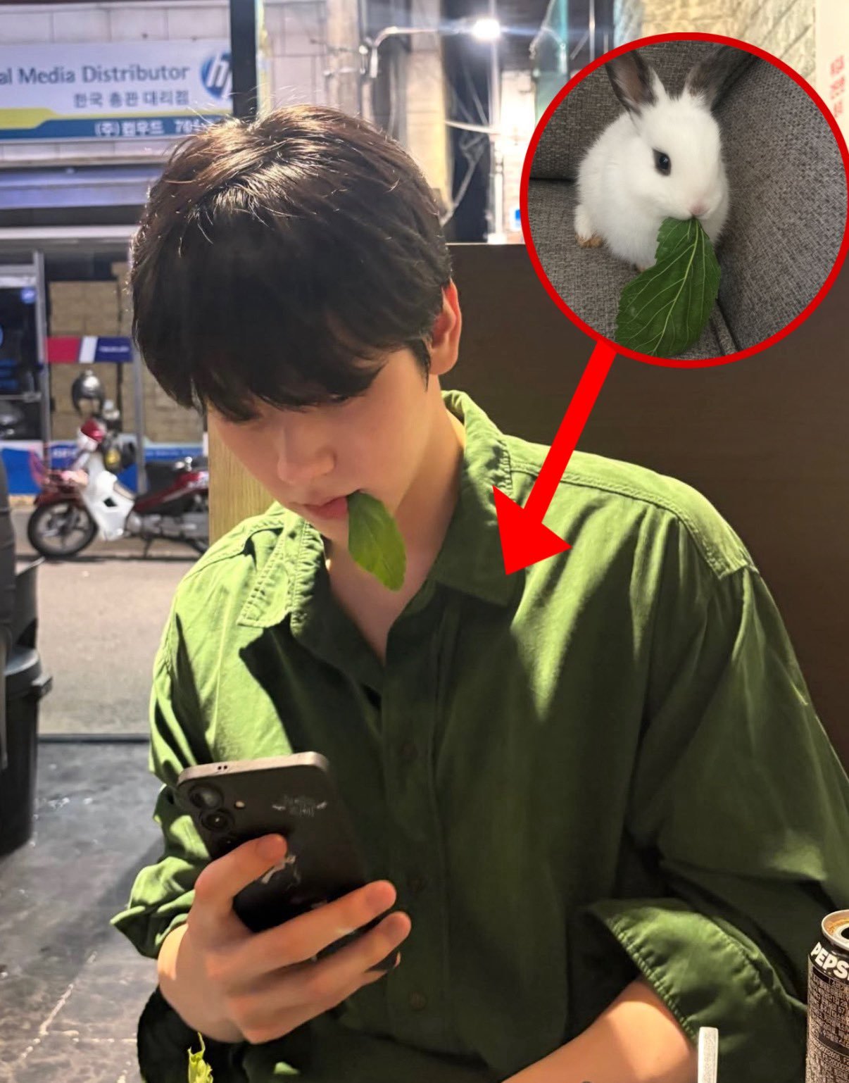 兔兔吃草
