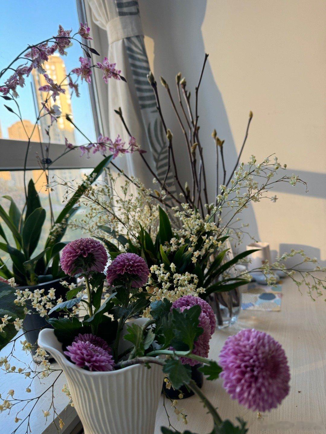 我书房的窗台与此时的光影。写着写着抬头看到，忍不住感叹幸福还是要自己亲手创造。别