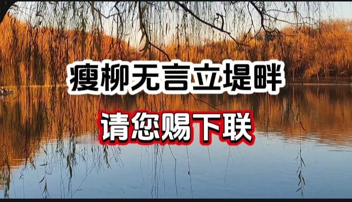 对对联 上联：瘦柳无言立堤畔  请您赐下联
上联：瘦柳无言立堤畔
下联：
请您赐