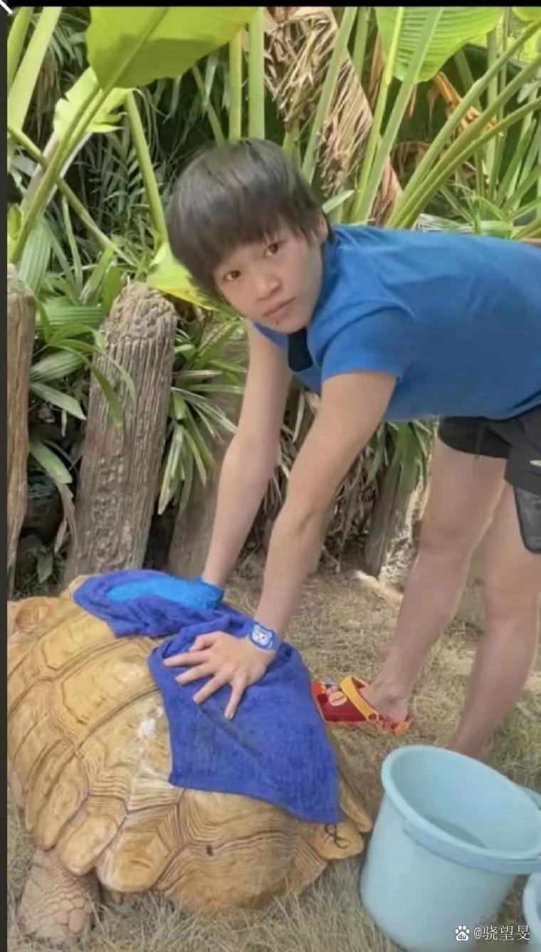今天全红婵‏给乌‌龟‌‏洗‎‏‍澡，那认‍⁠‎真的小模样超‍‌⁠可爱，看‌得出她
