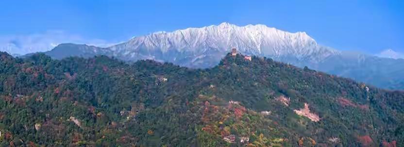 你有没有想过，当我们习惯了坐在观众席上仰视运动员时，换个角度会看到怎样的世界？1