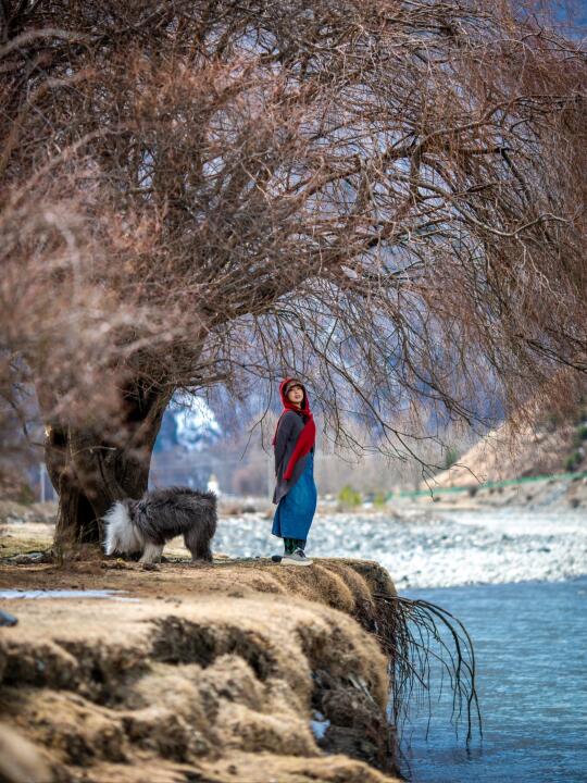 📍川西甲根坝｜狗狗玩的最开心的一天