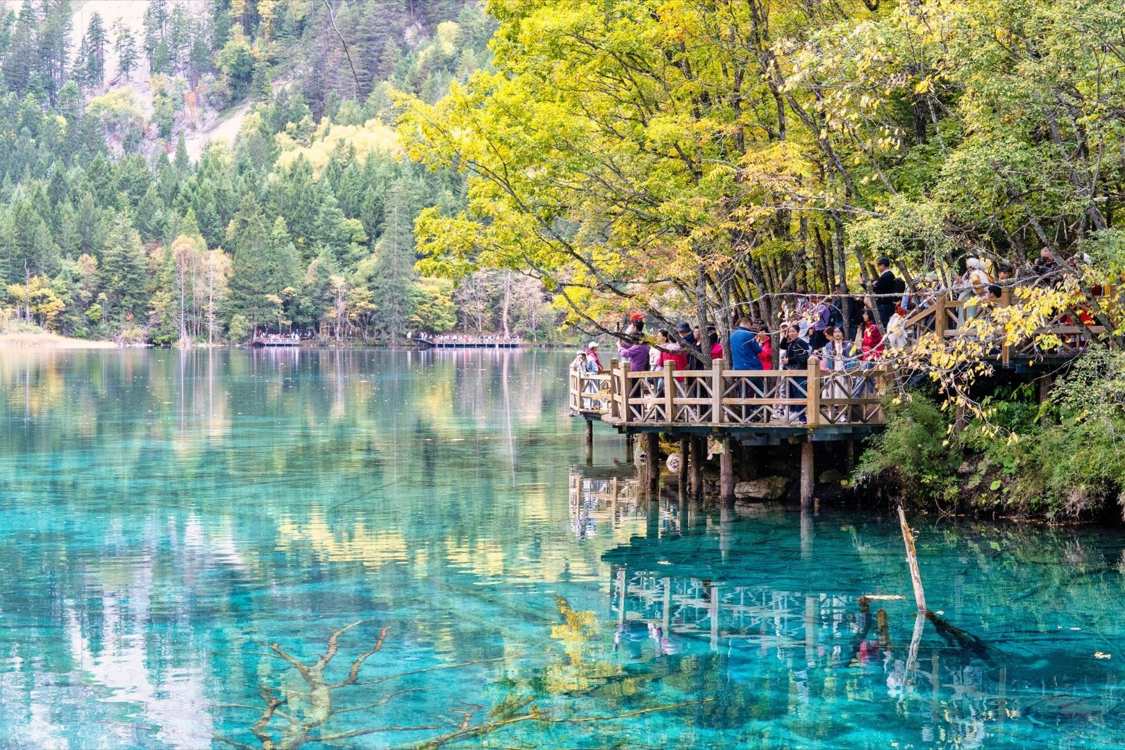 2825年节目预告：2025年12月18号今天晚上北京时间19:30分————2