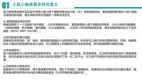 鼠小肠类器官构建全网最全拆解流程