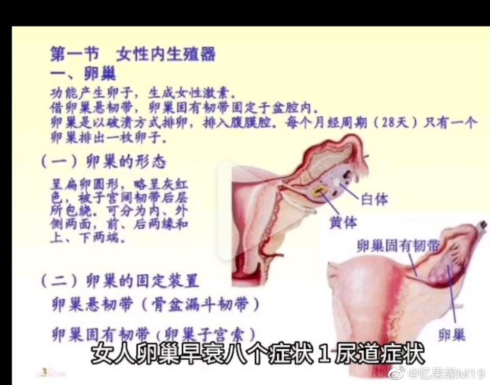 教你怎样保护卵巢不早衰　　卵巢是女性朋友重要的生殖器官，如果卵巢出现早衰的情况，