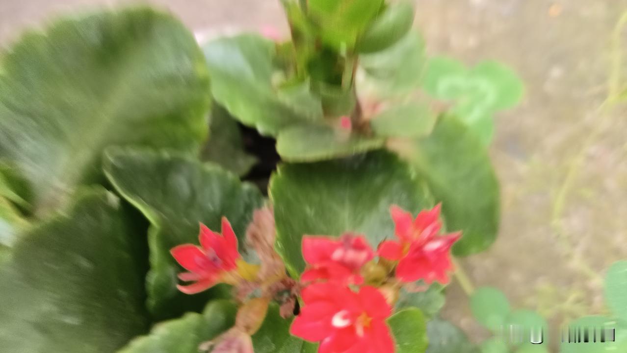 哈哈，被带偏了，说是姐带着我来到大船上，这船相当大，外面是惊涛骇浪，船员还不让我