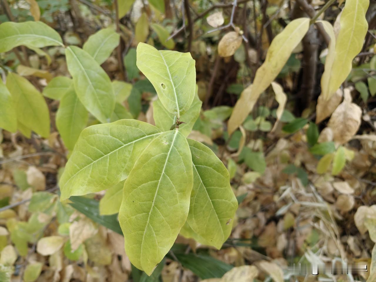 曾经有个无话不谈的闺蜜好友，但做梦也没想到，居然如今也渐行渐远了。

说起来有点