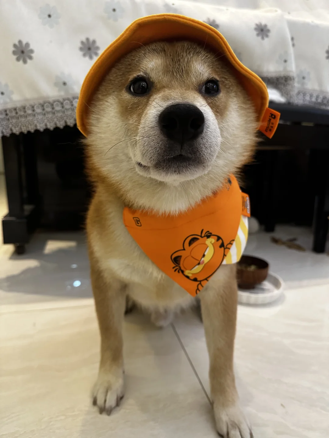臭帽子，封印我们颜值