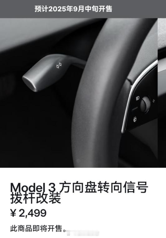 特斯拉推出了 Model 3 方向盘转向信号拨杆改装服务，售价 2499 元——