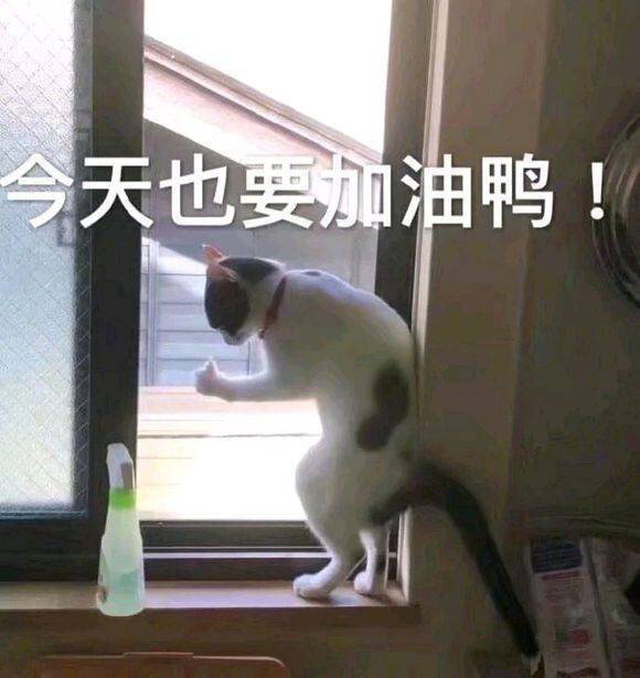 早～节前最后一天班，加油干！[doge] ​​​