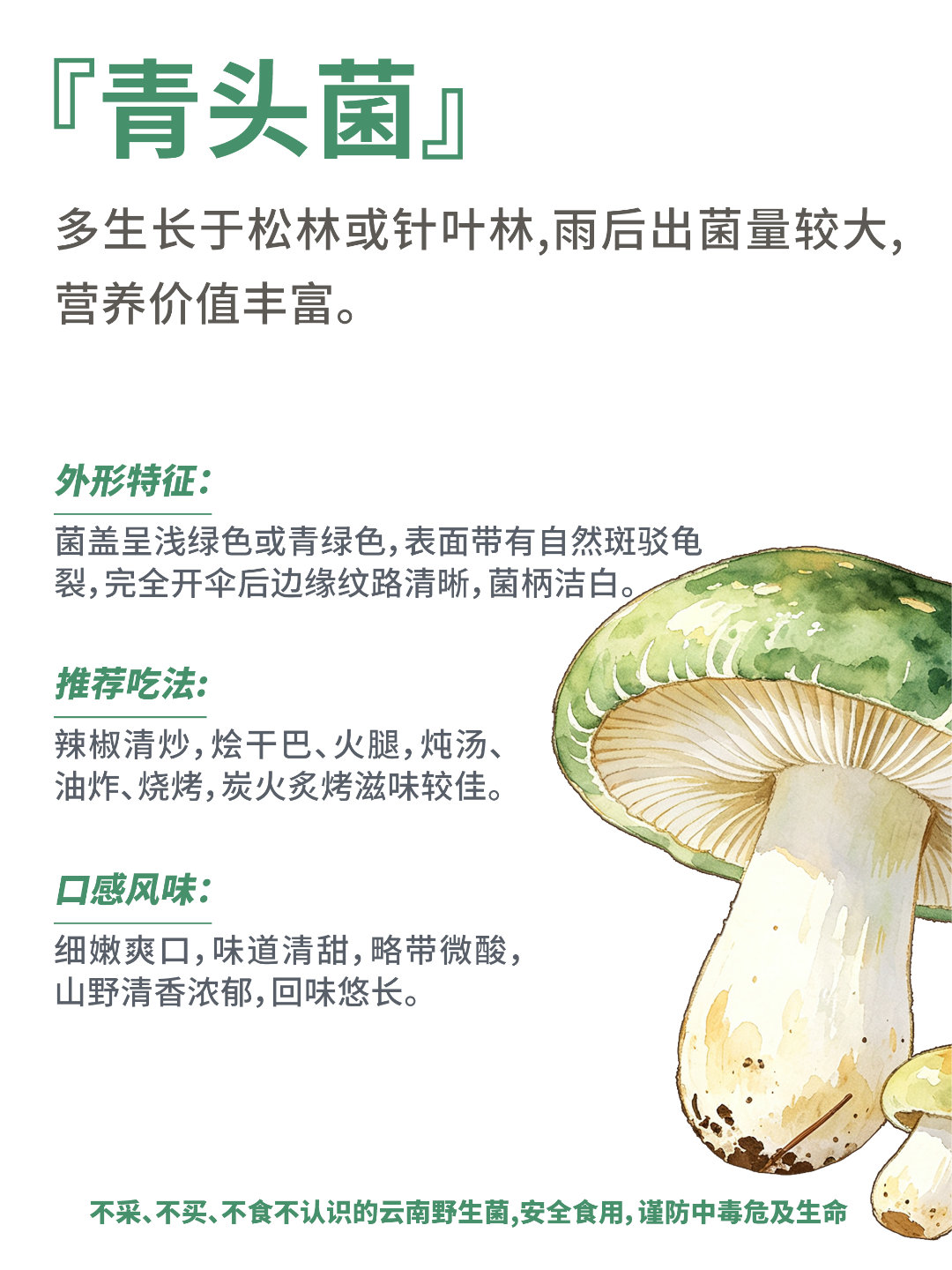 只有云南人才懂的野生菌执念  现在正是云南吃野生菌最好的时候，雨水滋养山林，各类