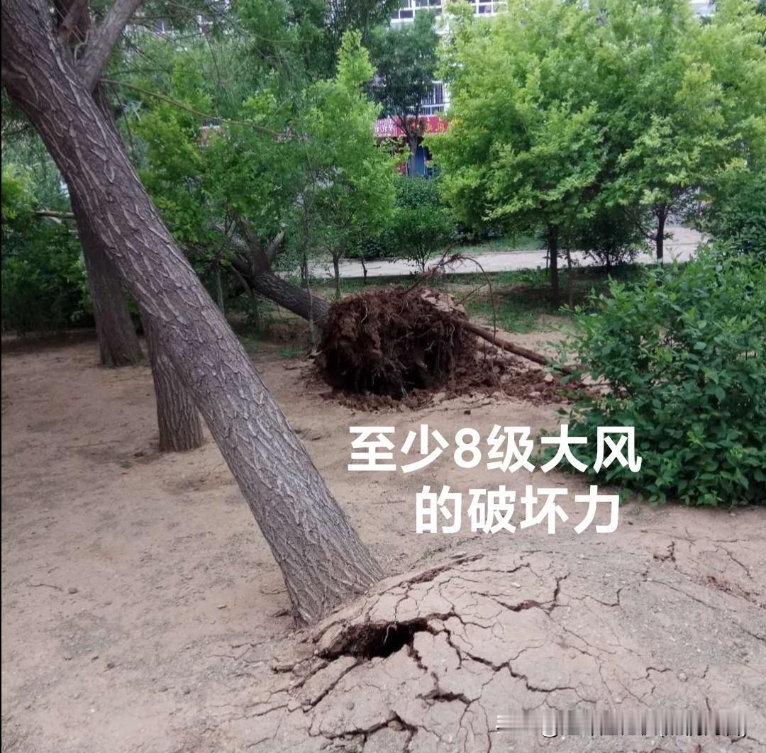 💥《风力等级 竟有18级！列出科普科普》
────────
今天一阵大风，将办