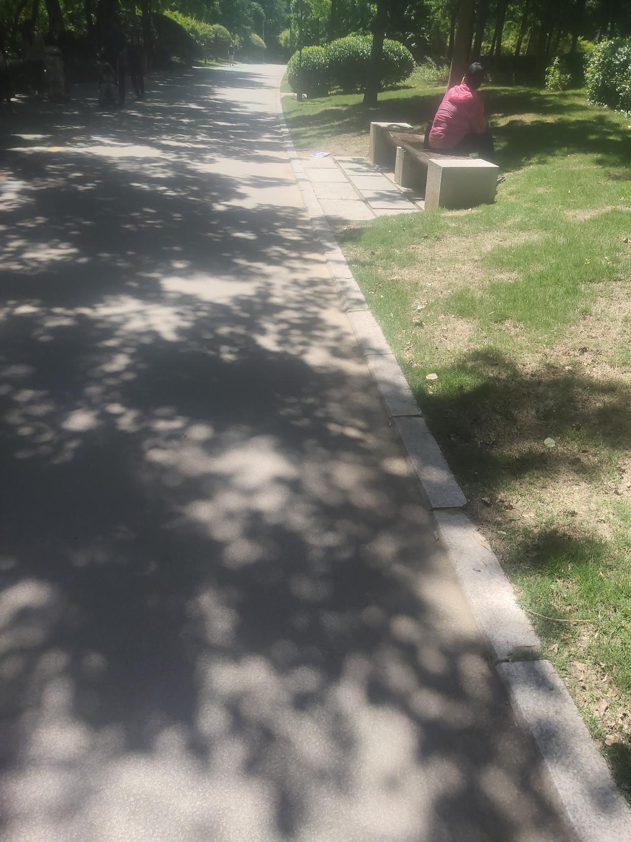 最近感冒了，浑身都不舒坦。今天去公园，瞧见有人在晒背，我也寻了个长椅晒了会儿。嘿