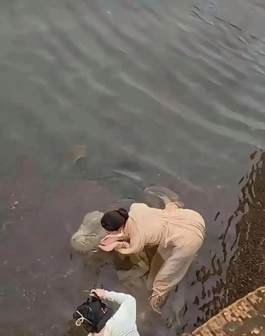 人怎么可以无畏到这个地步 