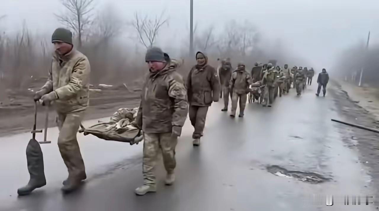 红军城方向，一群乌军向俄军投降。当然，乌克兰政府不会承认，甚至还会说这些投降的乌