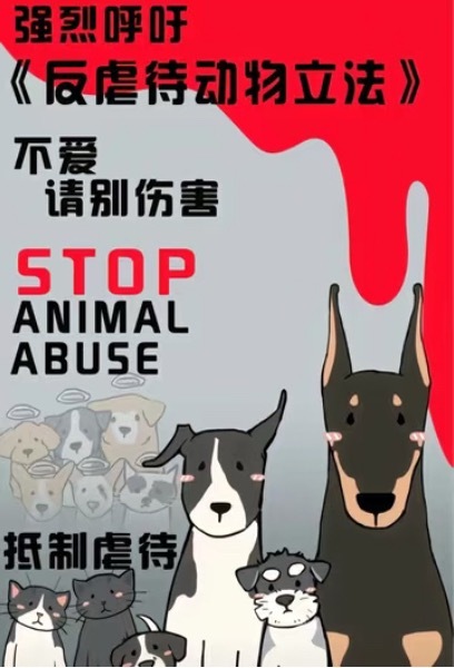 杜江发声很多小动物那么可爱为什么要伤害啊啊啊啊啊 