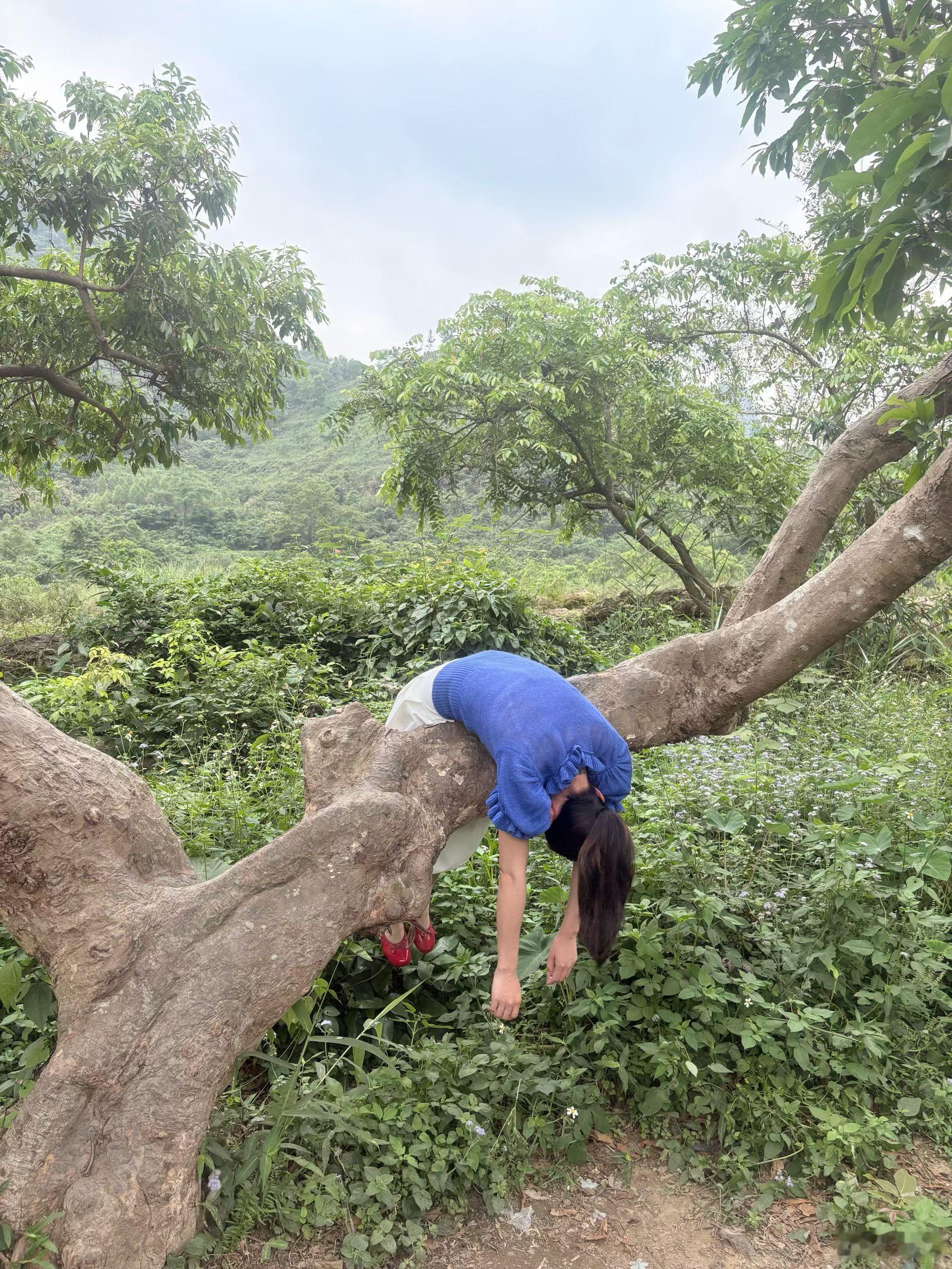 晨跑看到这一幕 