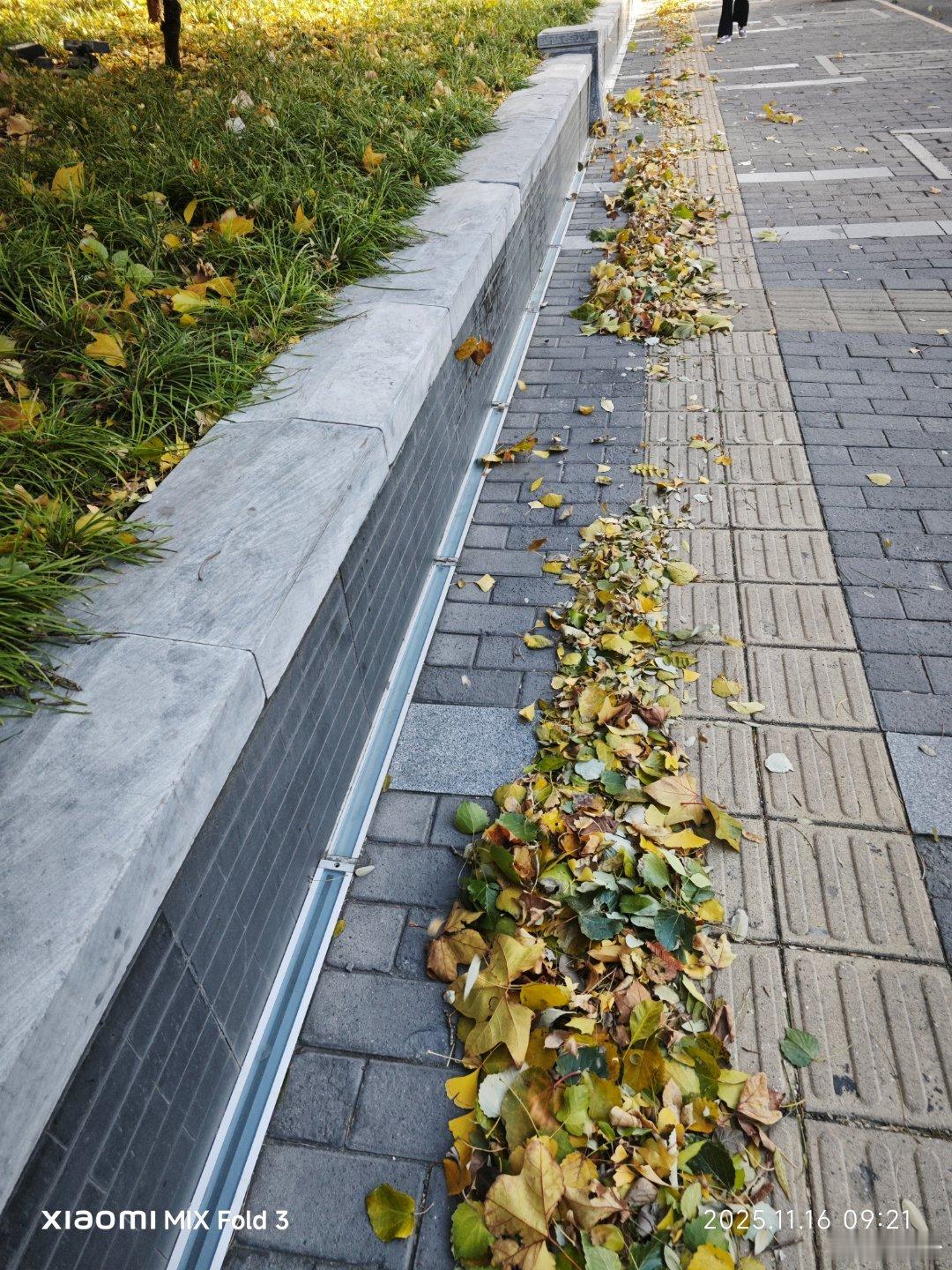 今天降温了，决定上街去玩，顺便到派出所把身份证办了，那么大的大厅里只有我一个人，
