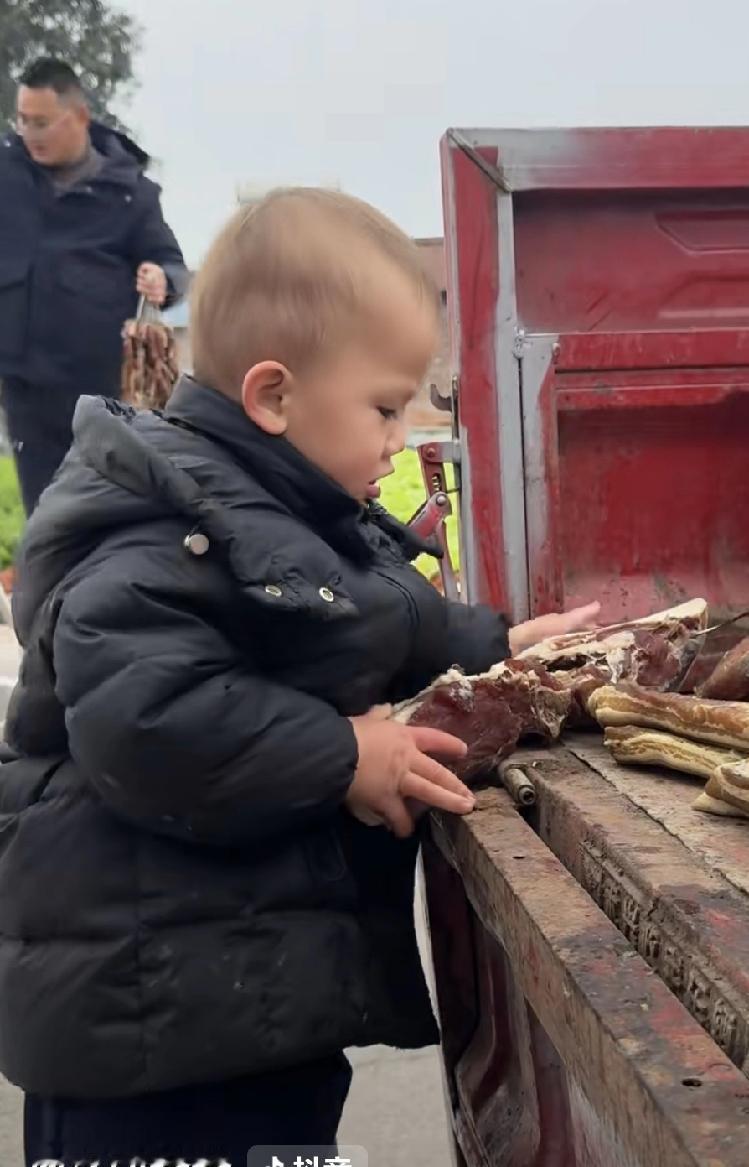 你觉得小成成爱劳动可爱吗太可爱了，超级喜欢！萌萌的，现在什么话都听得懂了，和小二