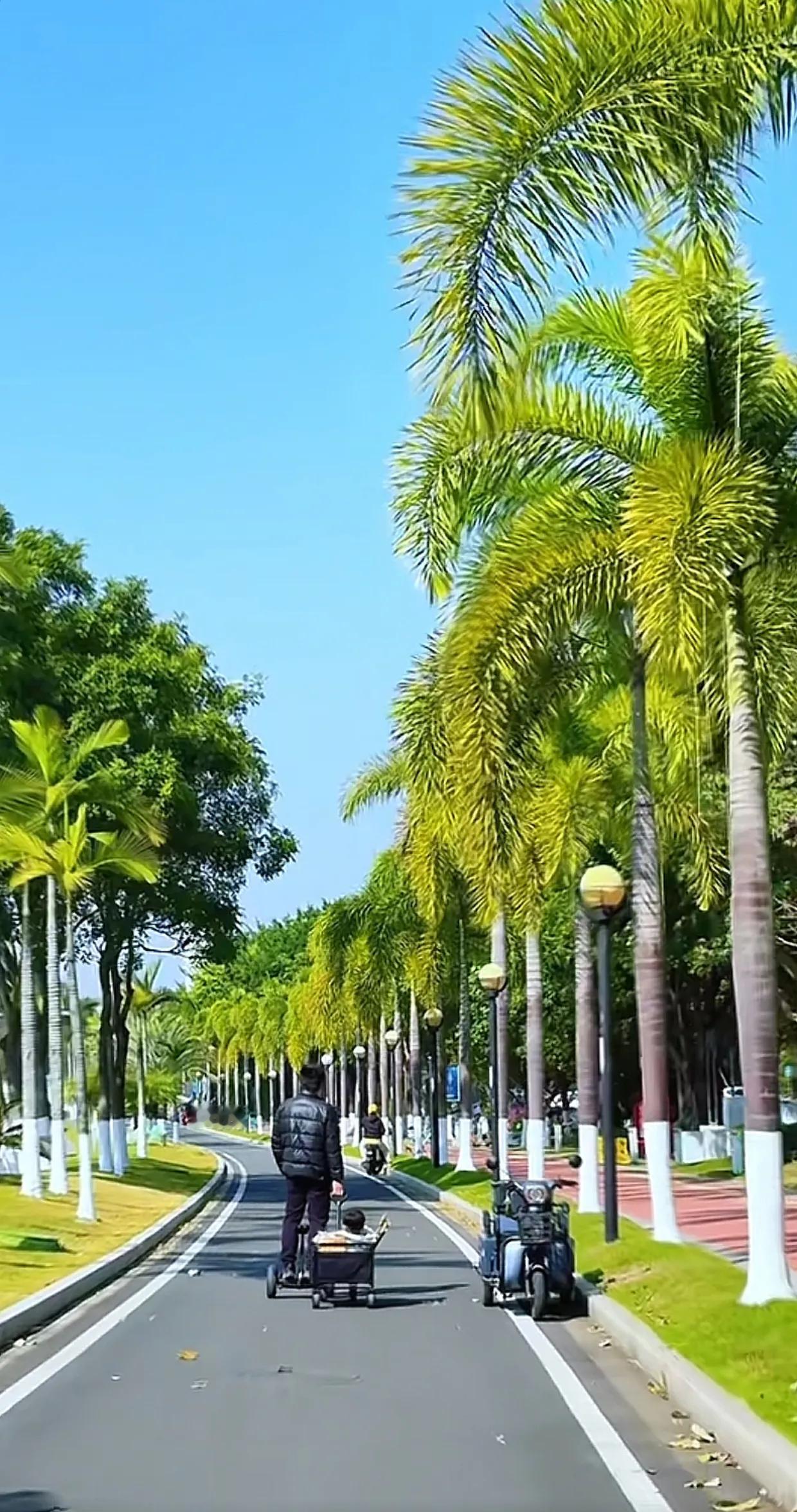 漫步在珠海市情侣路上，海风轻拂，美景如画。沿途的风景如诗般令人陶醉，仿佛置身人间