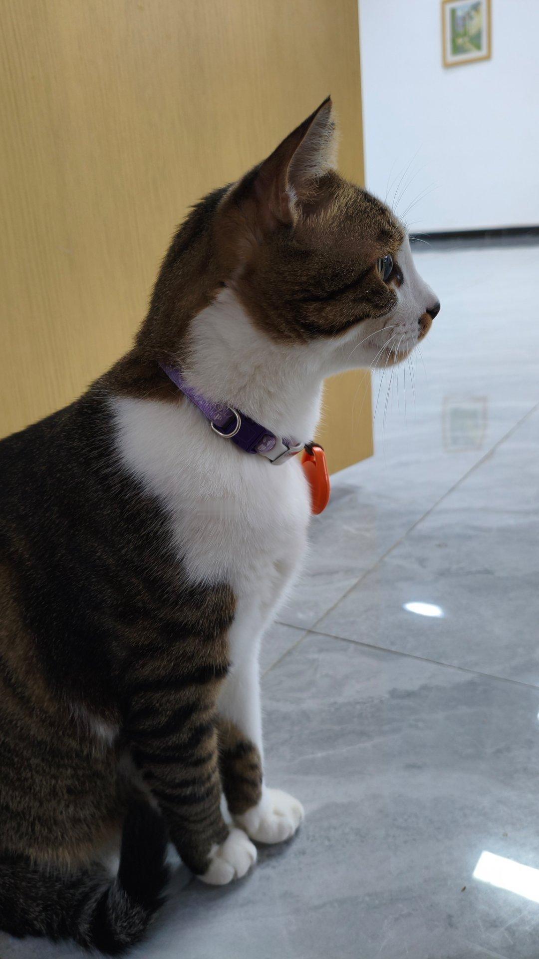 签到签到签到明天不上班嘎嘎嘎                          