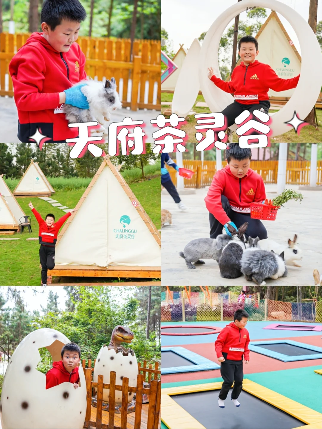 成都周边亲子游，天府茶灵谷嗨翻天！
