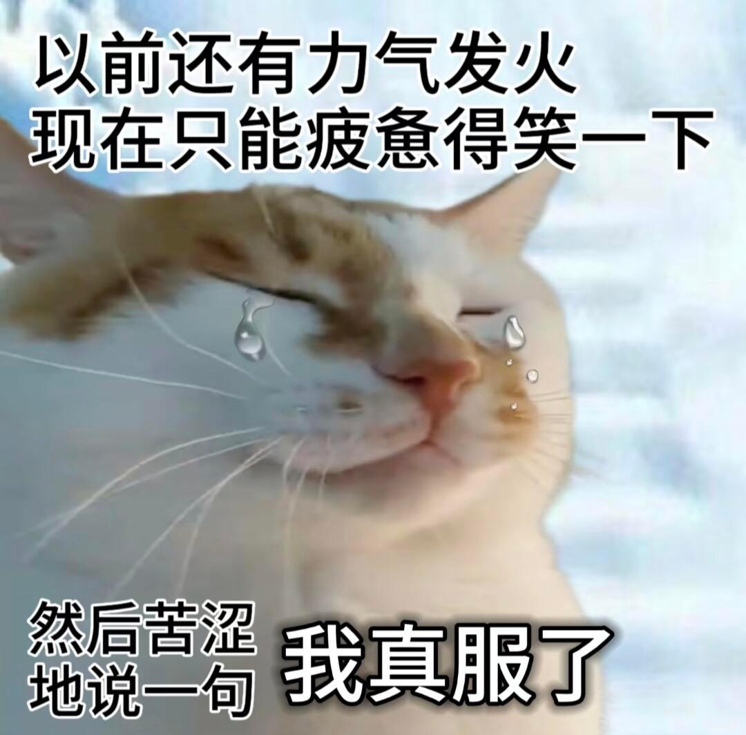 我就这样不停催催催催催到厌倦 人家请假了我只能打电话过去催 一听声音就是请的病假