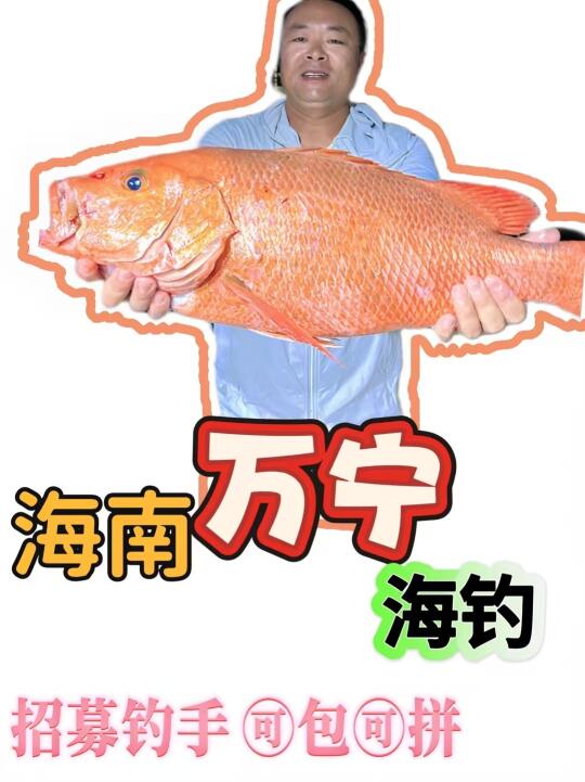 16号全天远海招募钓手啦🔥