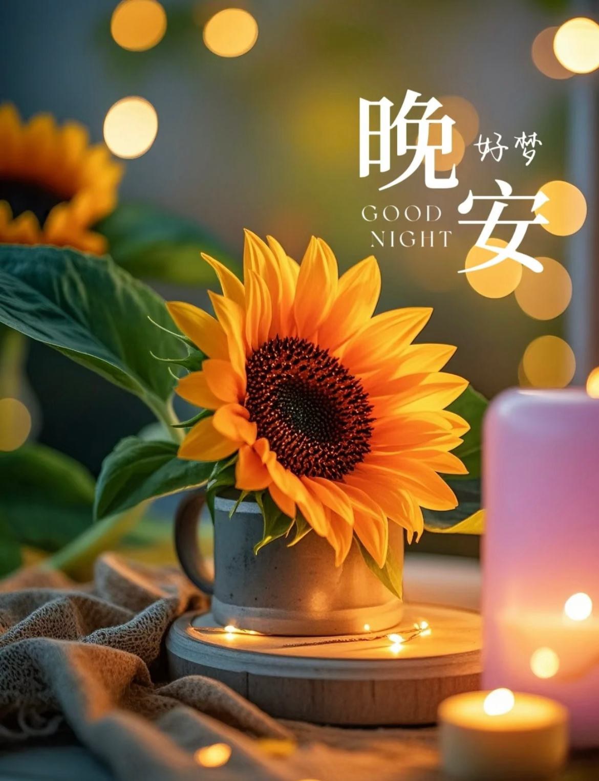 日子长长，总会如愿以偿，努力永不过时，向前才有风景，往前走吧，去迎接下一个生活的