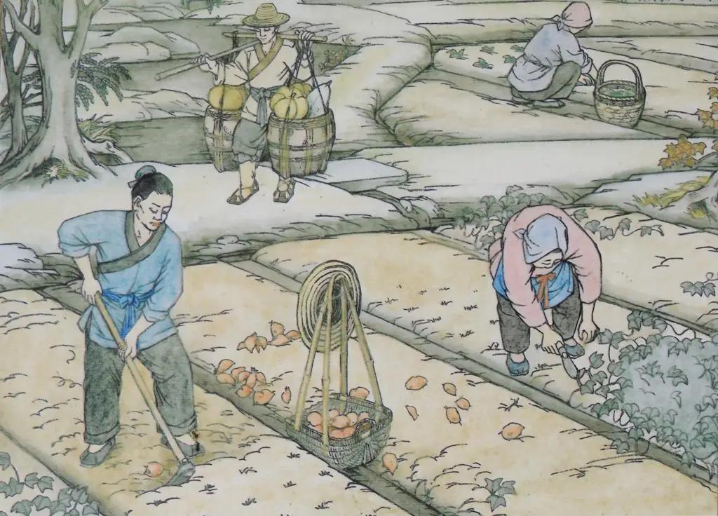北魏曾推行"计口授田"，分配土地同时，百姓需要承担固定赋税。

公元485年，北