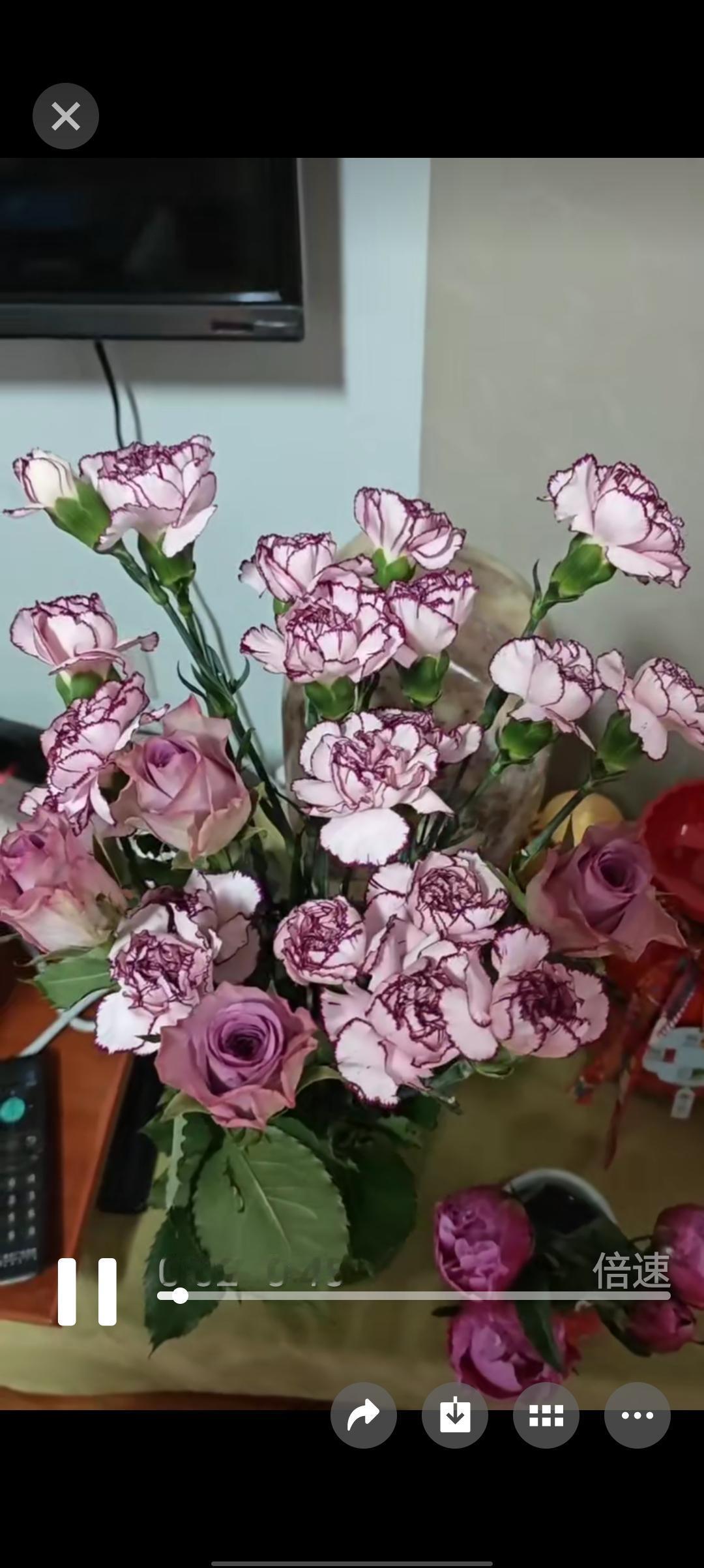 今天上午，我在大门外剪干枯了的绿植，手机忽然响了，我一看，是我的发小朋友打来的。