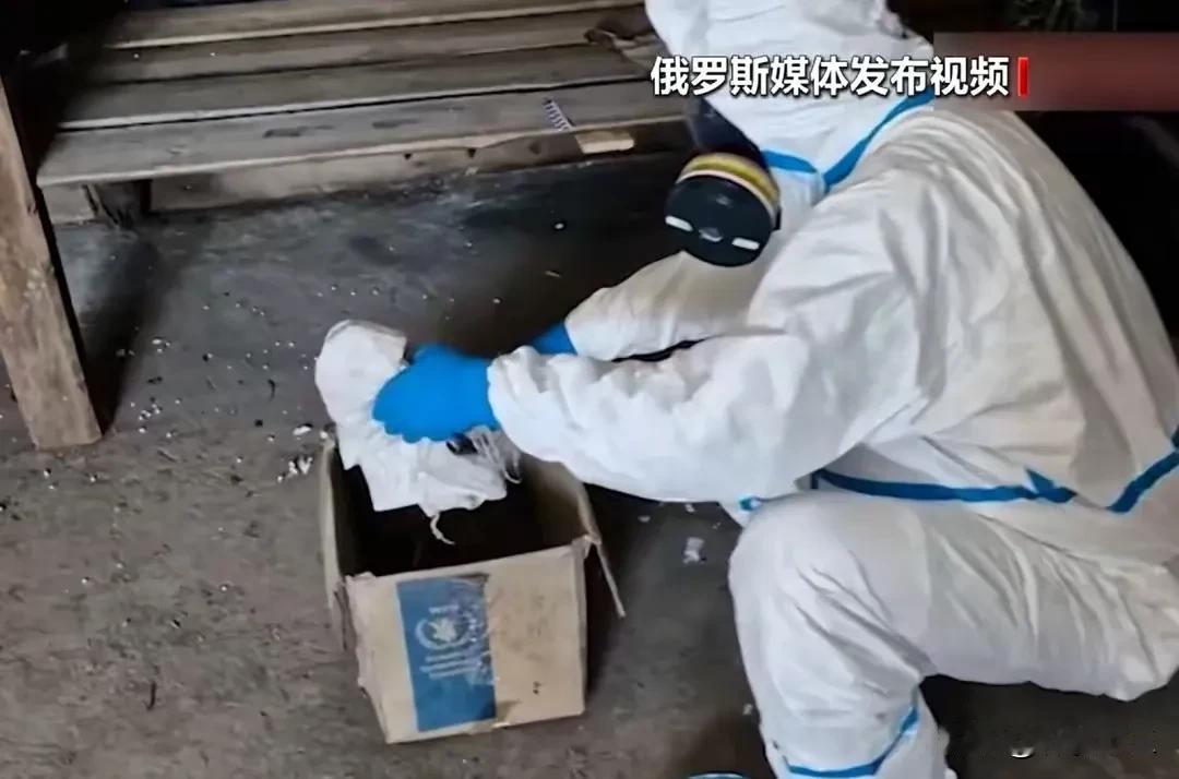 伊朗的核武器没有下文，乌克兰的生化武器倒是实锤了？

根据我国权威新闻报道：俄罗