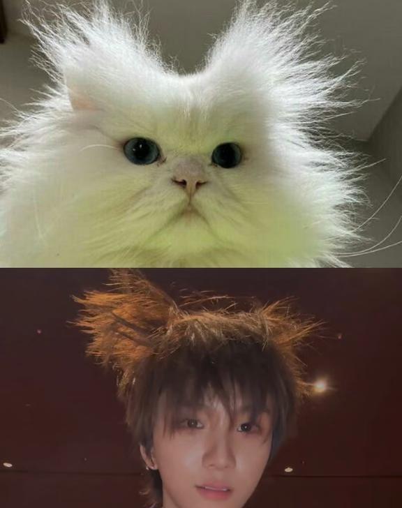 bnd小梗图第1️⃣3️⃣弹
老规矩boynextdoor 金云鹤 金桐儇 韩泰