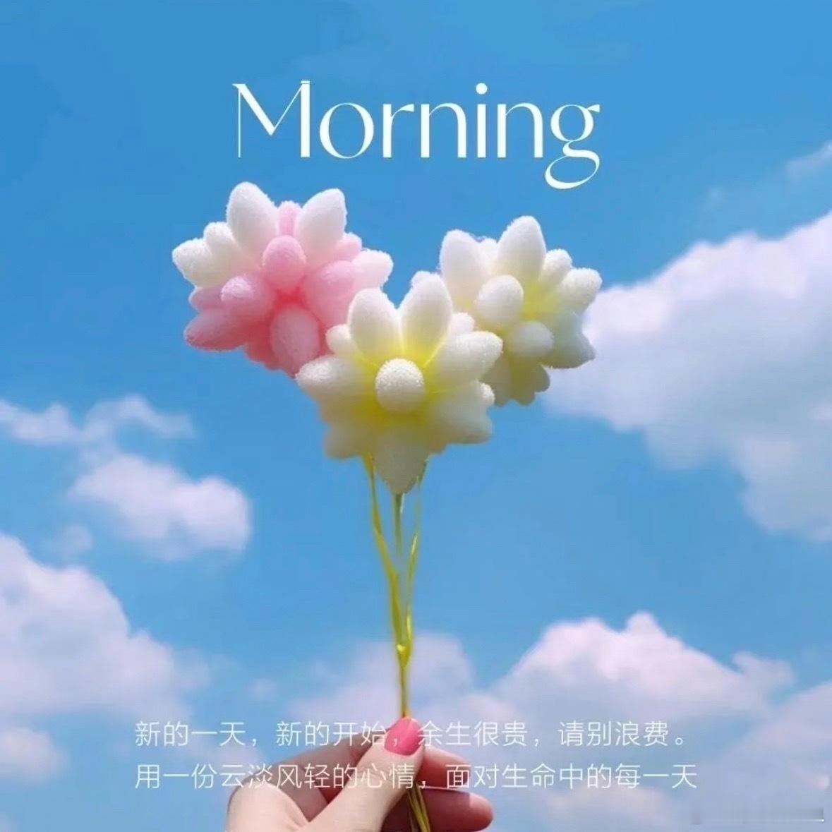 早安心语 心有暖阳，满目皆晴，笑对生活，万事顺意。新的一天，从容道早安，愿我们安