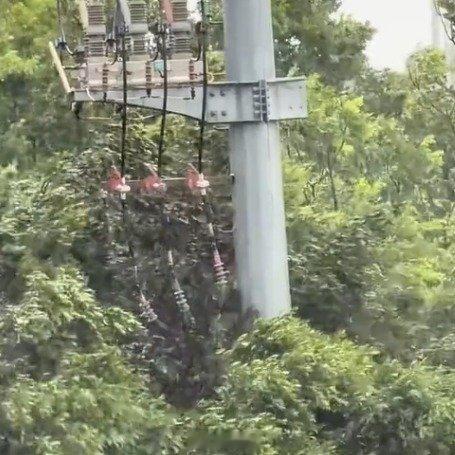 台风过境700多棵树被连根拔起做好安全防护 西安·华严寺