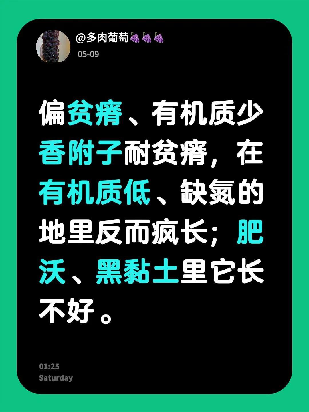 我回复了@爱好喝茶 的评论：偏贫瘠、有机质少香附子耐贫瘠，在有机质低、缺氮的地里