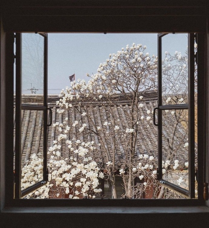 史铁生19句，睿智通透，说的都是人生哲理1.就命运而言，休论公道。——史铁生2.