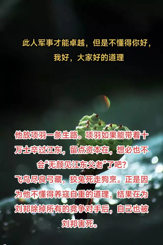 他军事卓越，但是不懂得你好，我好，大家好。此人军事才能卓越，但是不懂得...