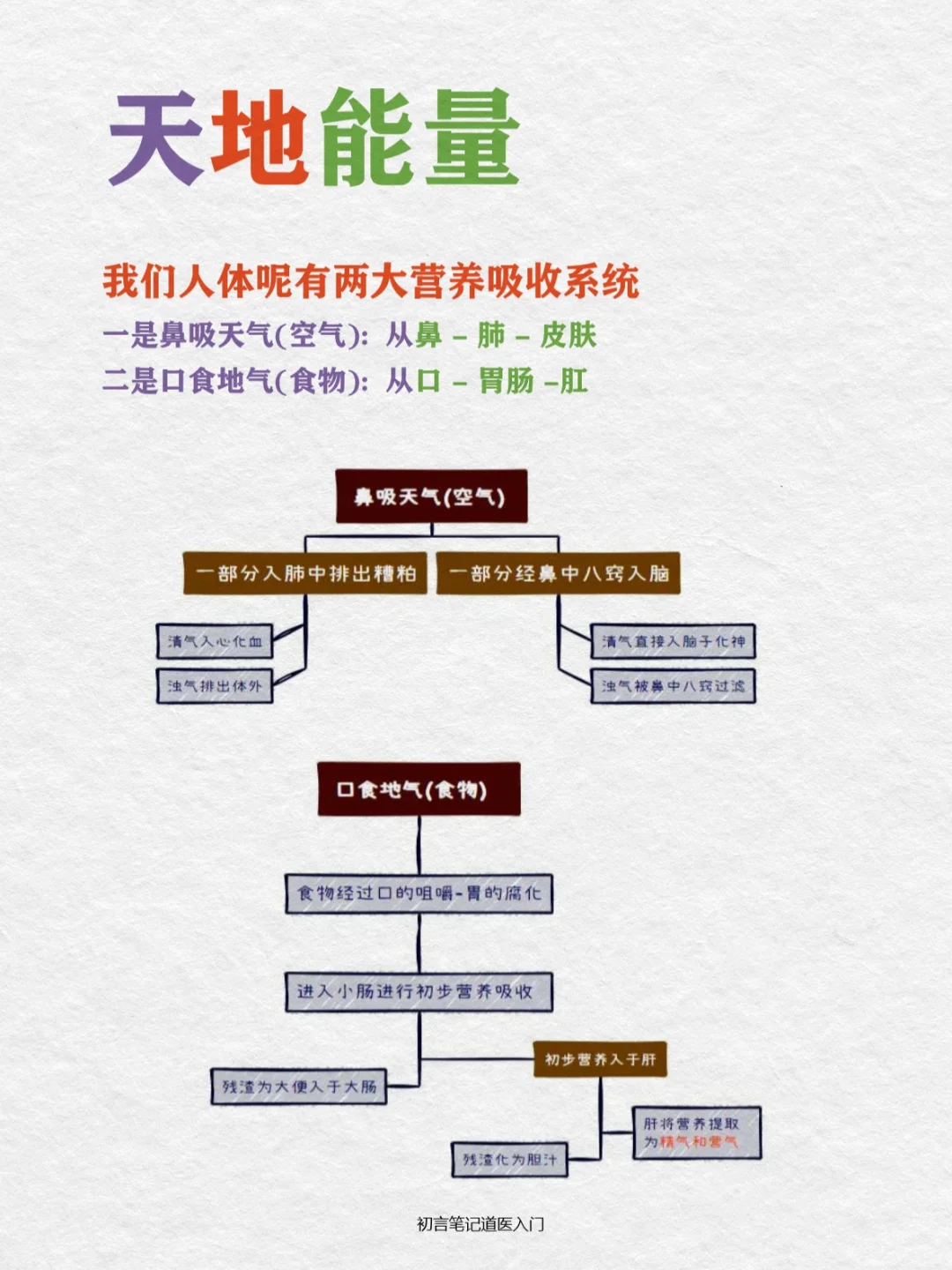 零基础学道医09天｜天地能量