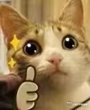 江浙沪年轻人捧红线下杀糕经济 线下杀糕经济真的解决了我的选择困难症，不用纠结买哪