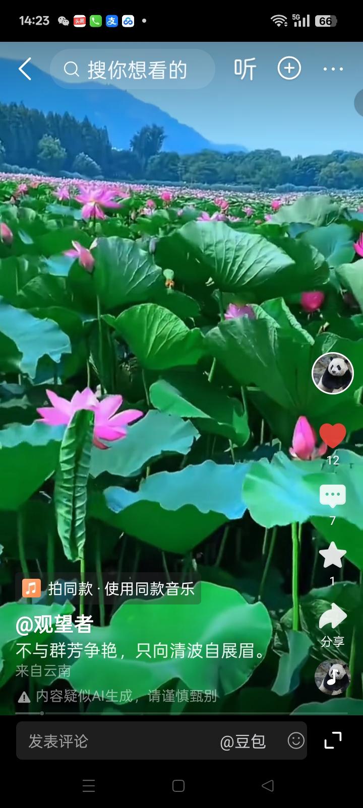 不与群芳争艳，只向清波自展眉。