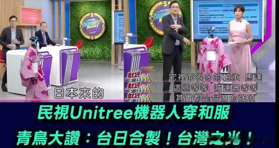 台湾绿媒（台独媒体，如福尔摩沙电视台）在 Unitree 的央视机器人功夫表演后