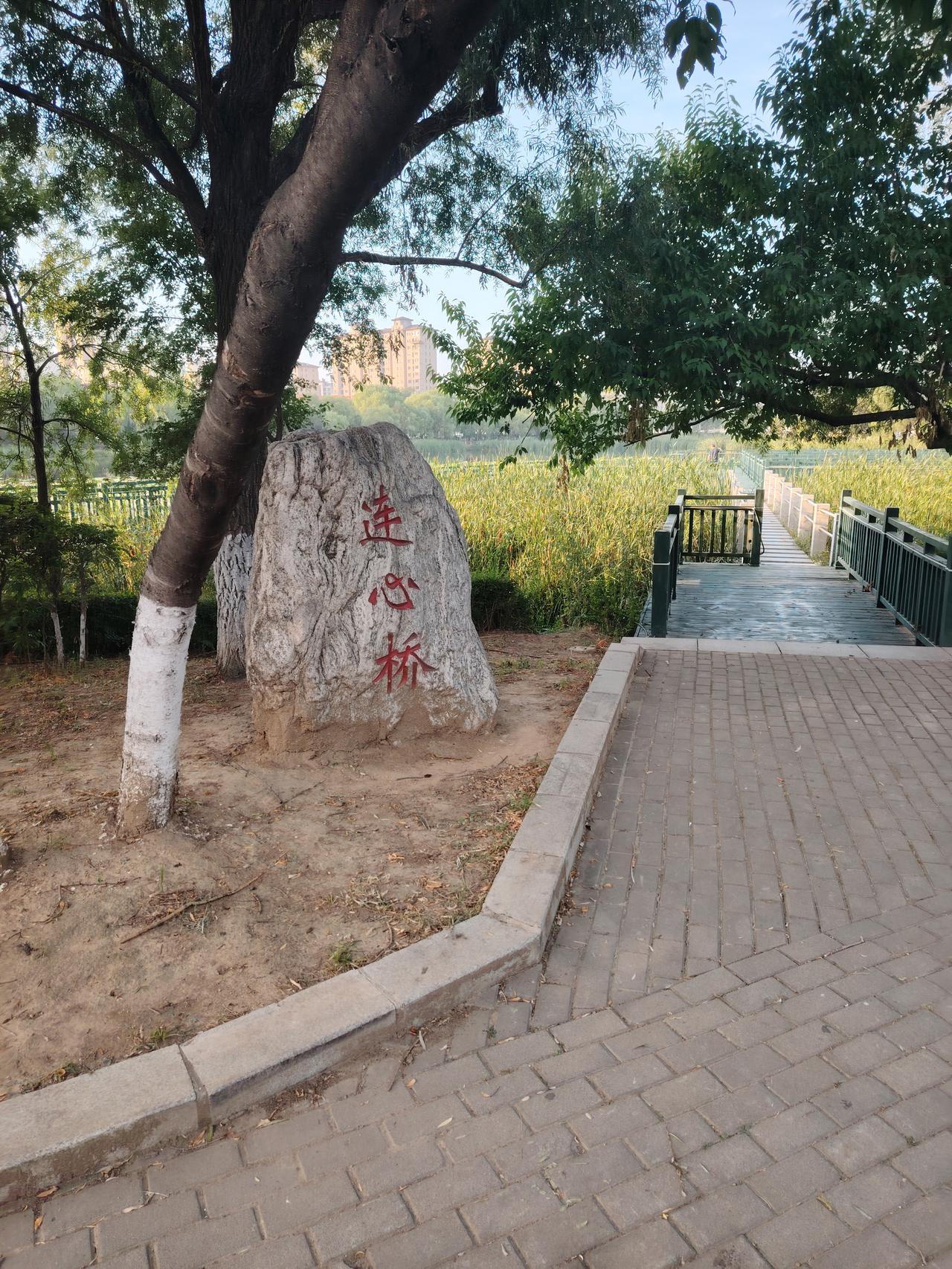 连心桥到底是连了谁的心，这个典故都谁知道啊，请赐教！