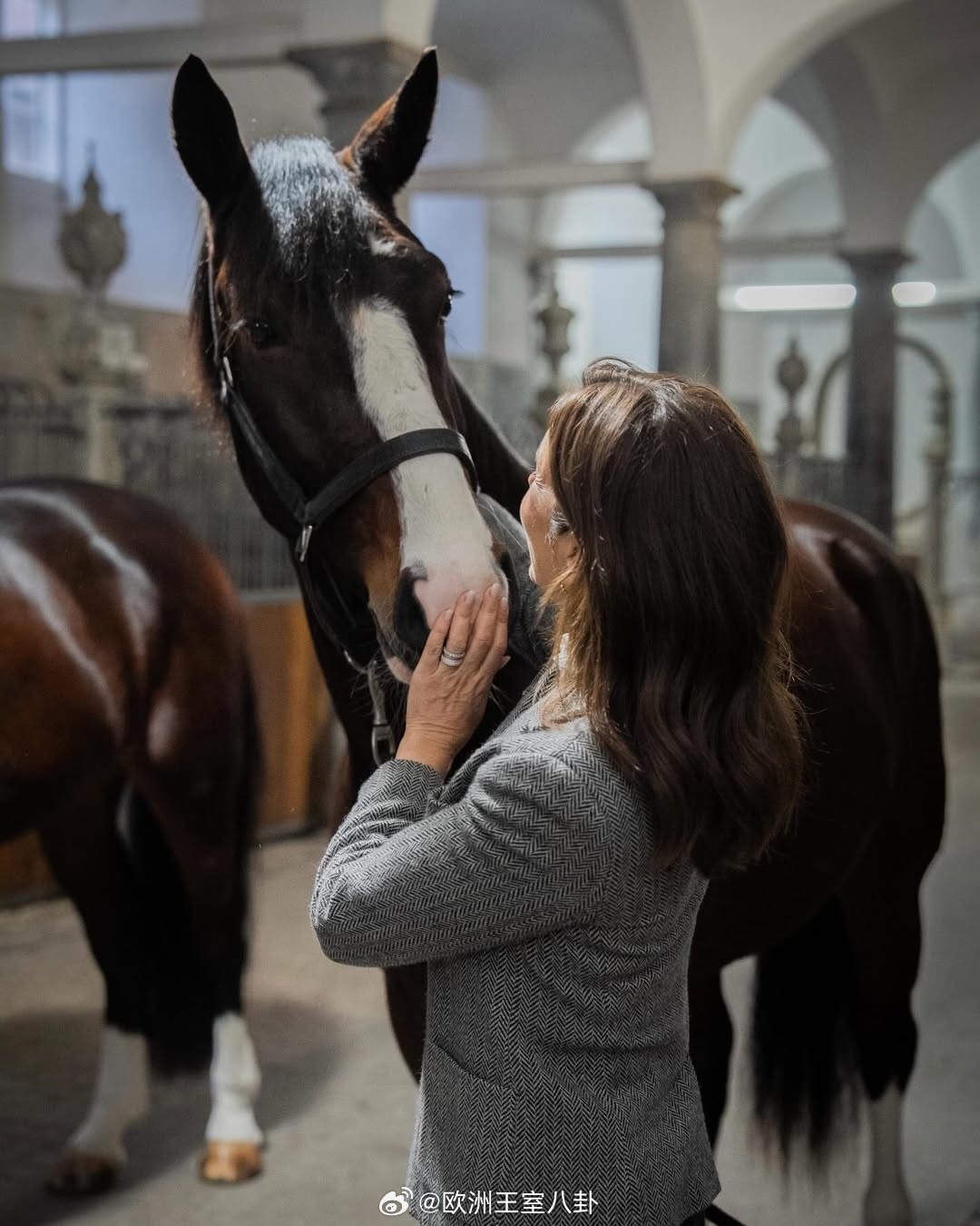 3.30 丹麦王后玛丽访问皇家马厩，来了俩新员工（马）。外套来自拉夫劳伦 