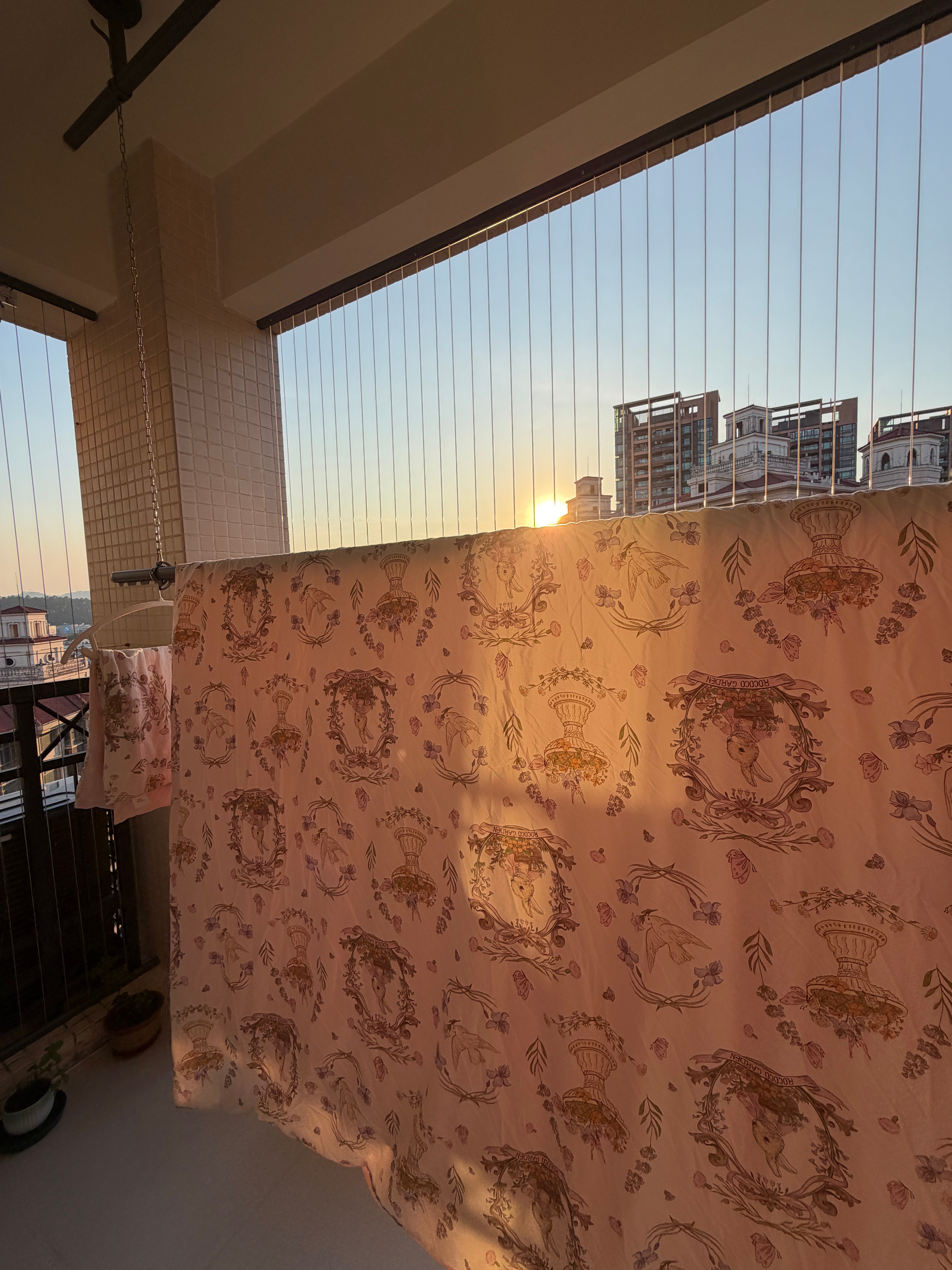 抓住一个晴天可劲薅洗完被子洗四件套给周俏俏买的爱丽丝花园图案，有点可爱ᥫ᭡ 