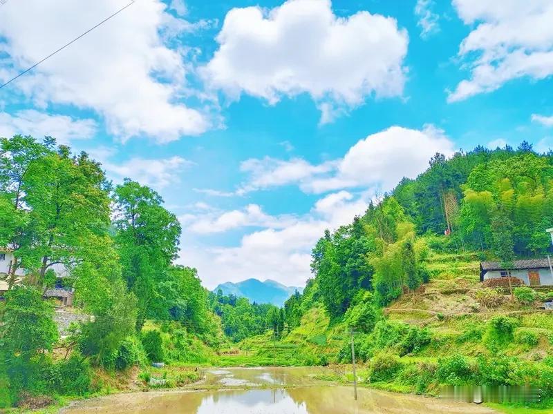 人生如赶路，年轻时总急着抵达，中年后才懂风景在途中。那些求而不得的苦，后来都成了