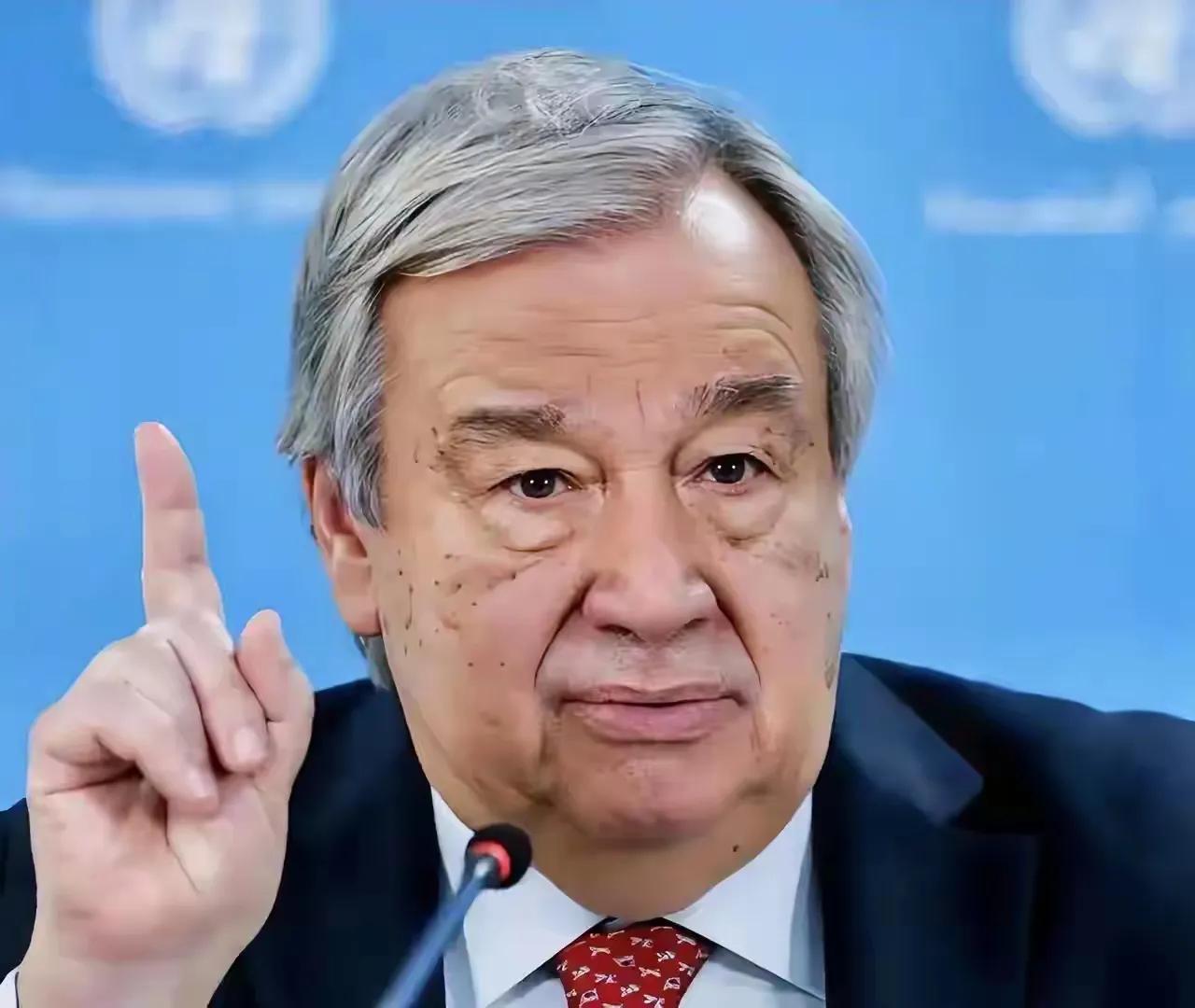 十一国毅然决然，摒弃联合国框架，携手自组新机构，以独立姿态监督并应对朝鲜局势，展