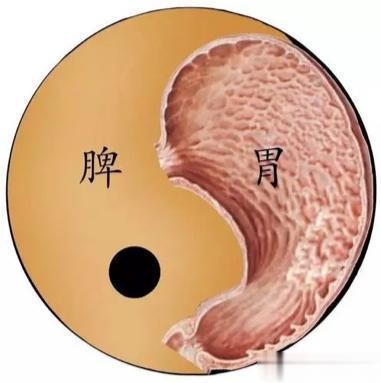 脾胃派10大名方，国医高手1.小柴胡汤（疏肝和胃）2.理中汤（脾肾阳虚）3.四君