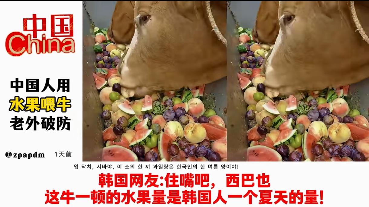 国内网友发了一个关于我们用水果来喂牛的视频，瞬间让各国网友看后都破防了。其实，我