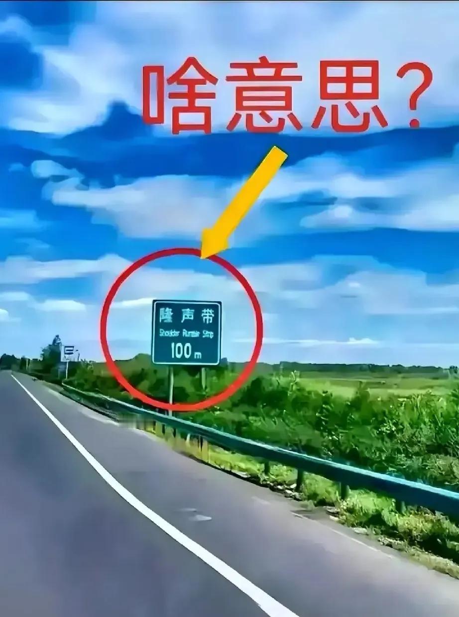 路上这个隆声带是什么意思？
问了几个人都不知道。